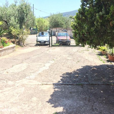 Casa Vacanze La Tuia Castellabate Eksteriør billede