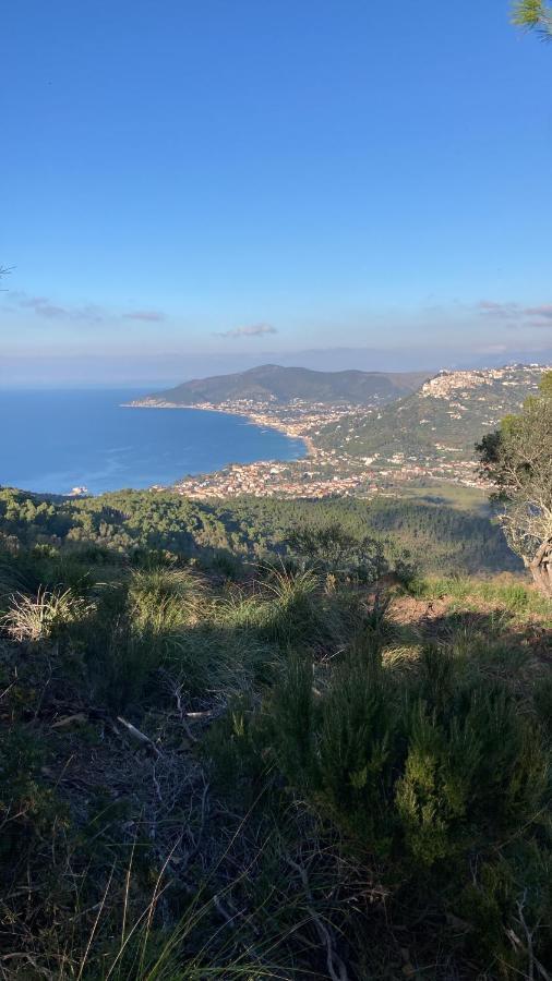 Casa Vacanze La Tuia Castellabate Eksteriør billede